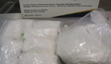 drug bust at toronto pearson airport mississauga.