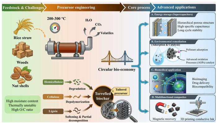 A comprehensive review of biomass torrefaction as a versatile platform for the synthesis of functional carbon materials Credit Wei Han, Yifan Wang, Lei Wang, Peng Xie, Tianqi Liu, Qinglian Wu, Chunshuang Zhou, Xiaomeng Guo, Lina Luo, Tianmei Sun, Kuifeng Hao & Congyu Zhang