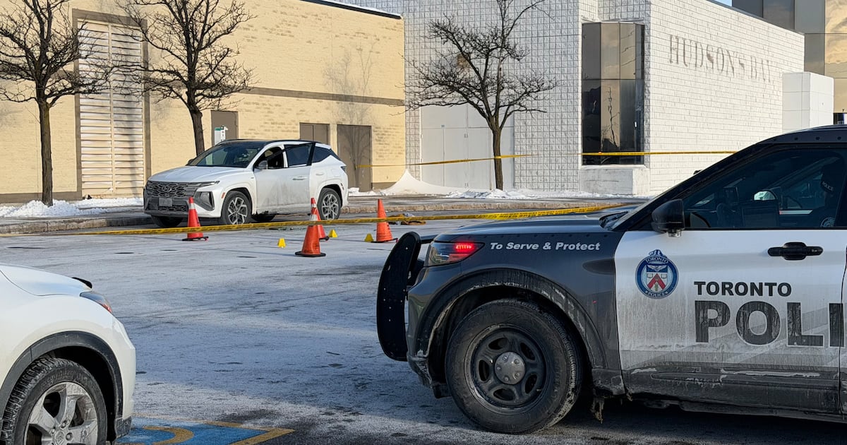 Woodbine Mall shooting: man dead