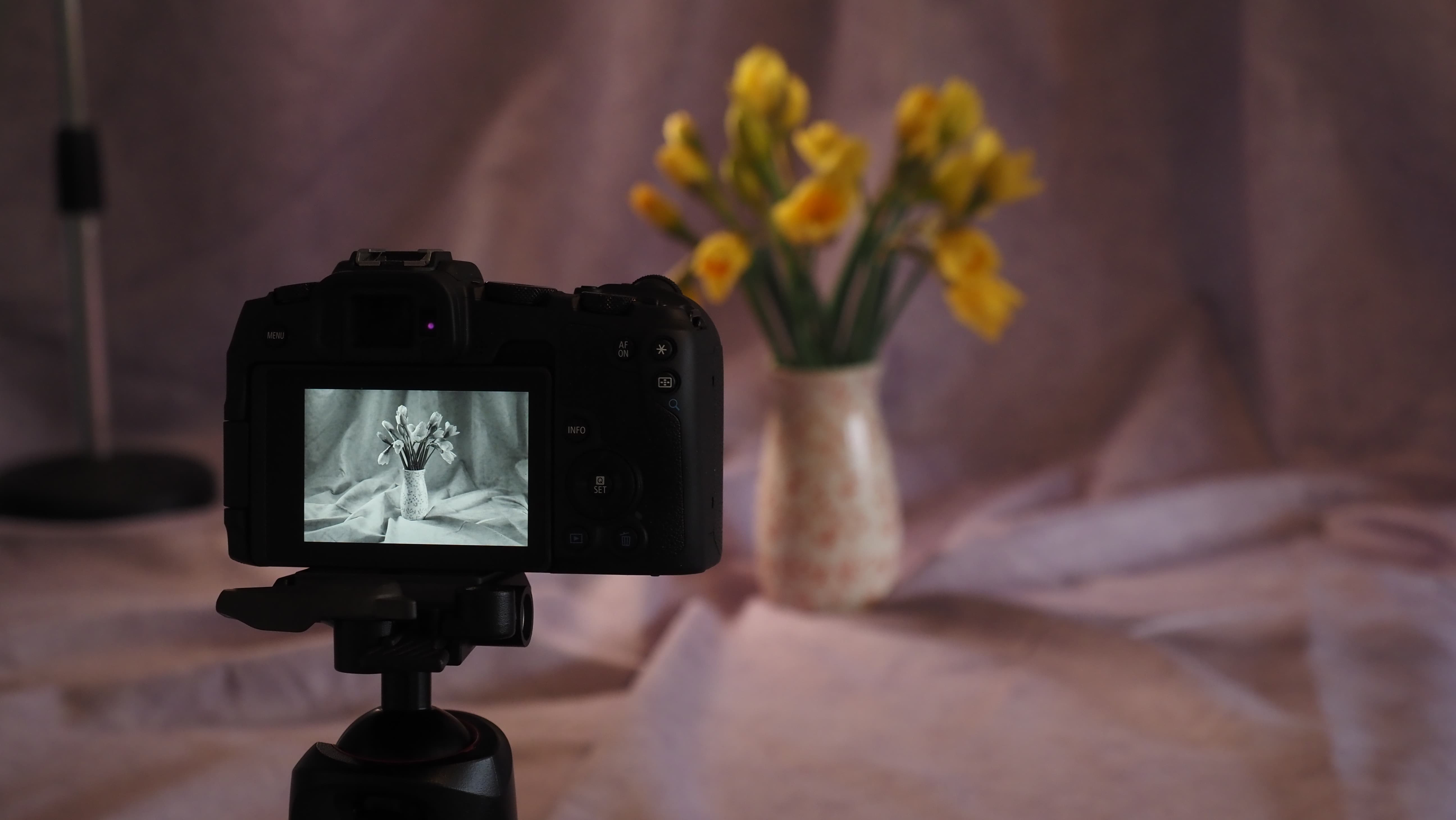 Black and white photography