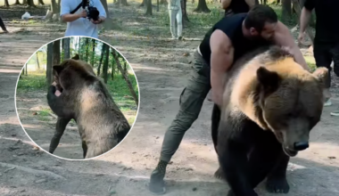 Tyson Fury's opponent filmed wrestling bear in terrifying footage ahead of comeback
