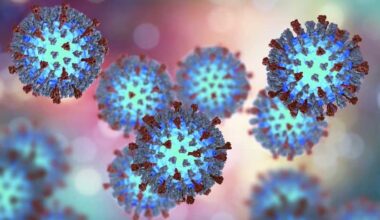 Travelling for March Break? Check if you’re vaccinated for measles, say experts | story