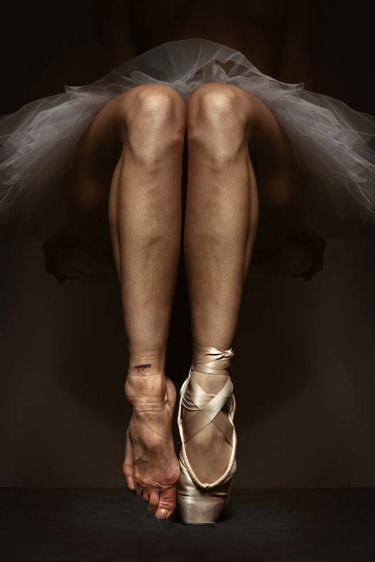 Society of Photographers Competition 2025