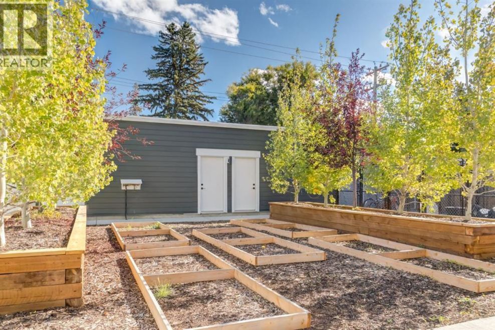 calgary street corner