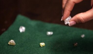 Africa’s largest diamond miner posts $511 million loss amid weak Chinese demand and U.S. tariff pressures