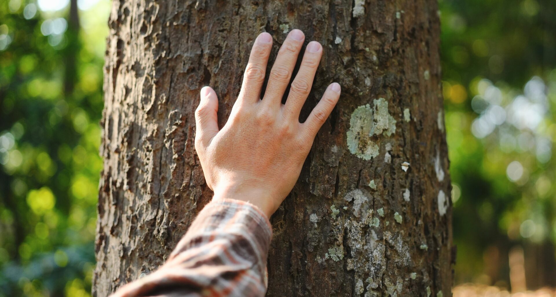 Why some people feel responsible for nature - and others don’t