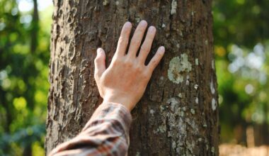 Why some people feel responsible for nature - and others don’t