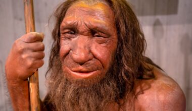 Grocery store employee working in the produce section