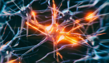 Some Brain Cells Resist Dementia, And Scientists Finally Know Why : ScienceAlert