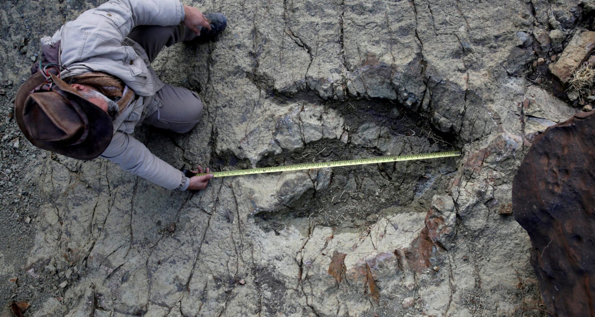 New AI Method Identifies Which Dinosaurs Left Which Footprints