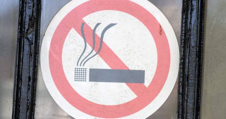 Lifestyle factors are behind 4 in 10 new cancers, WHO study finds - National