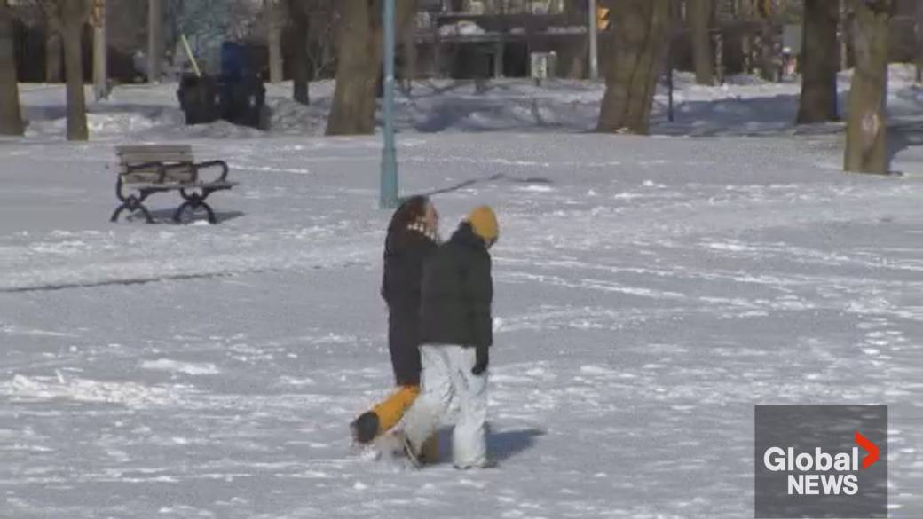 Click to play video: 'Extreme cold grips Toronto, wind chills to near -35 C'