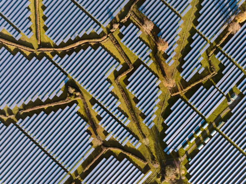 Aerial view of a solar farm with rows of blue solar panels arranged in geometric patterns, separated by grassy pathways and scattered with a few trees.