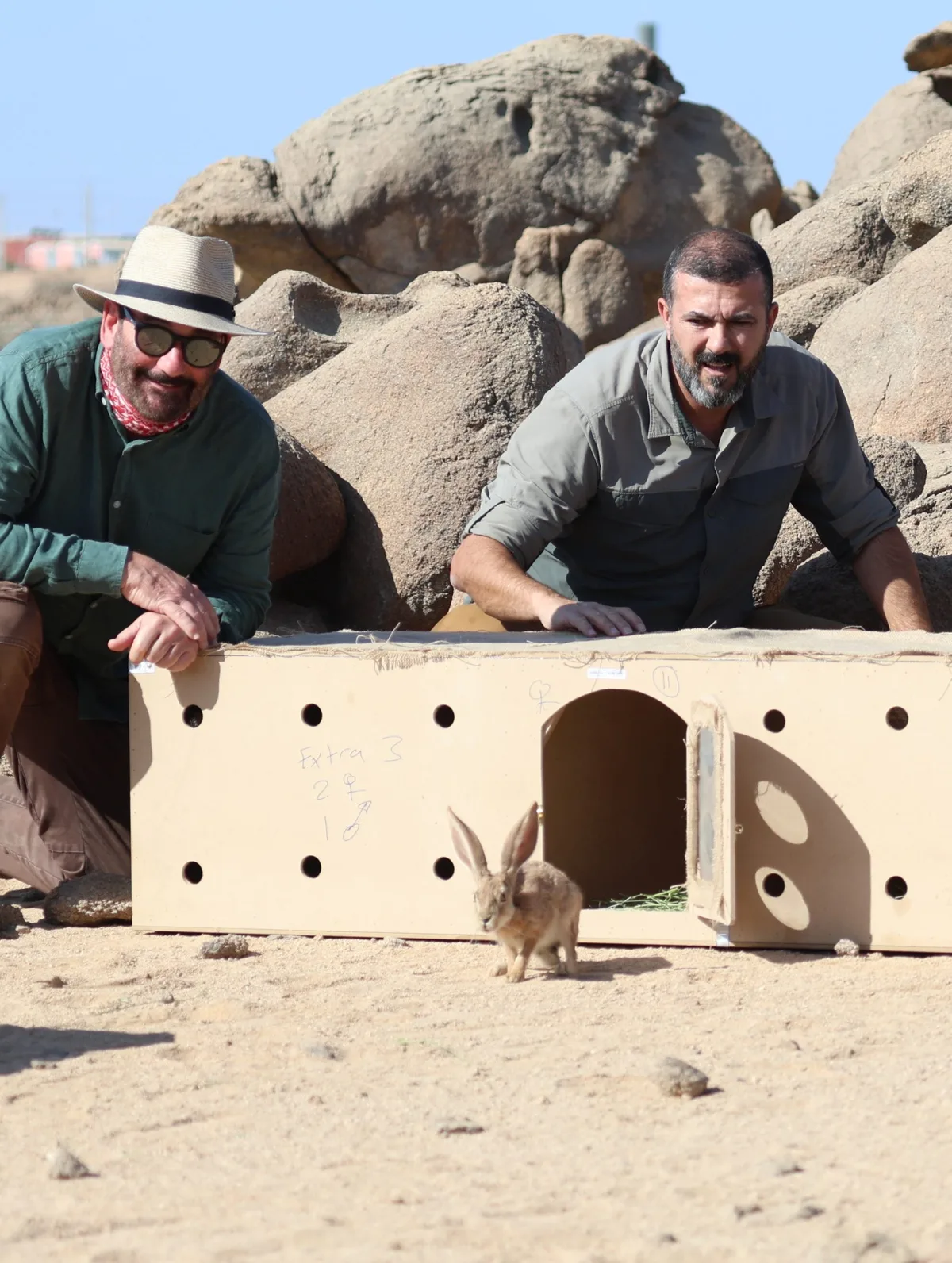 PMBSRR CEO and Chief Conservation release Arabian hare