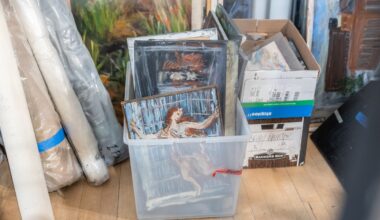 Free to a good home: Toronto gallery gives away Sybil Goldstein’s art