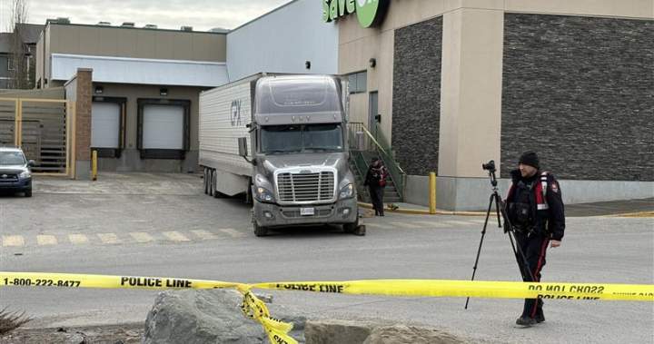 Calgary pedestrian, 70, killed in collision with semi in Panorama Hills - Calgary