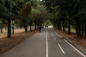 Park path and bike lane Councils urged to prioritise cycling as decisions on active travel funding progress