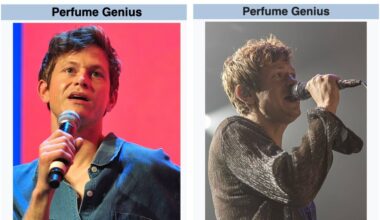 How to Change Your Artist Photo on Wikipedia