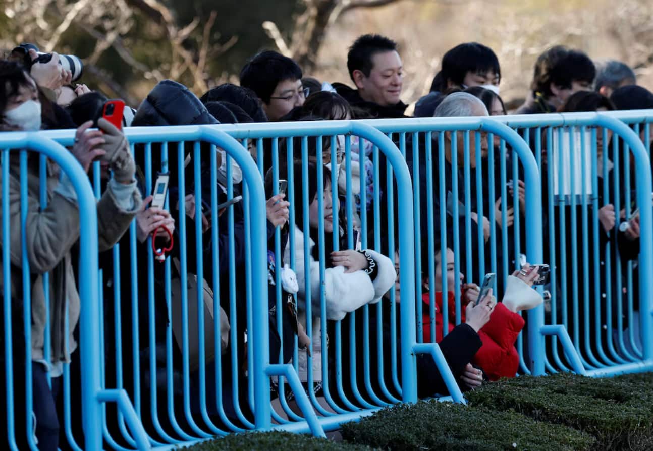 Zoo visitors gather outside the fence of a monkey enclosure. 