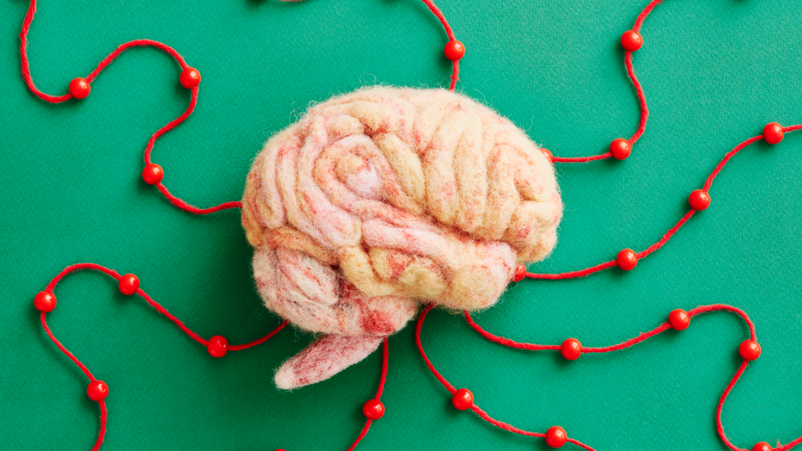 A human brain model made by needle felting.