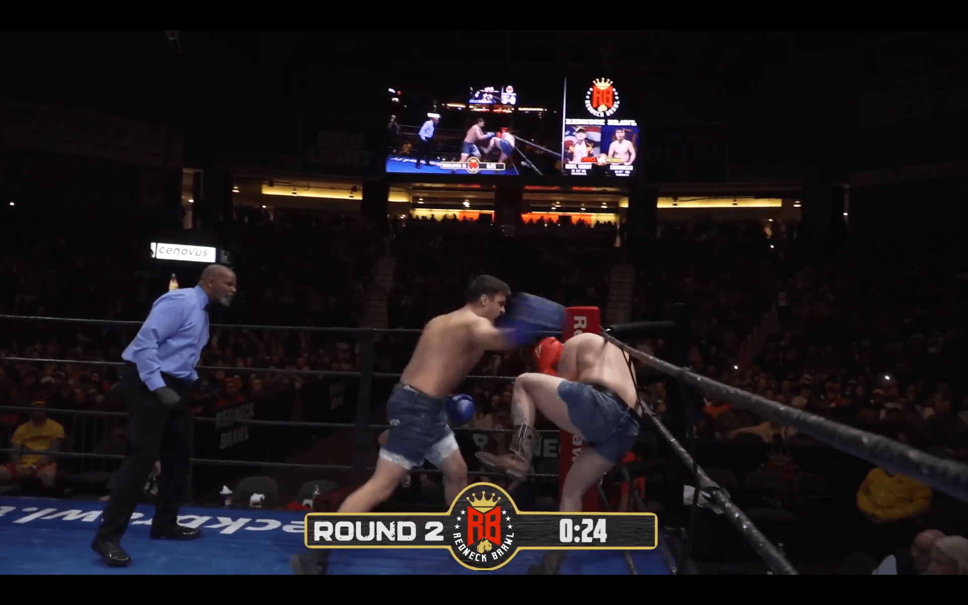 Rebel Kenny shows off the emu-flamingo hybrid defense