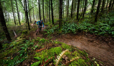 Galbraith Mountain adds 5 new trails and 2 major rebuilds in 2025, with 20 more miles planned