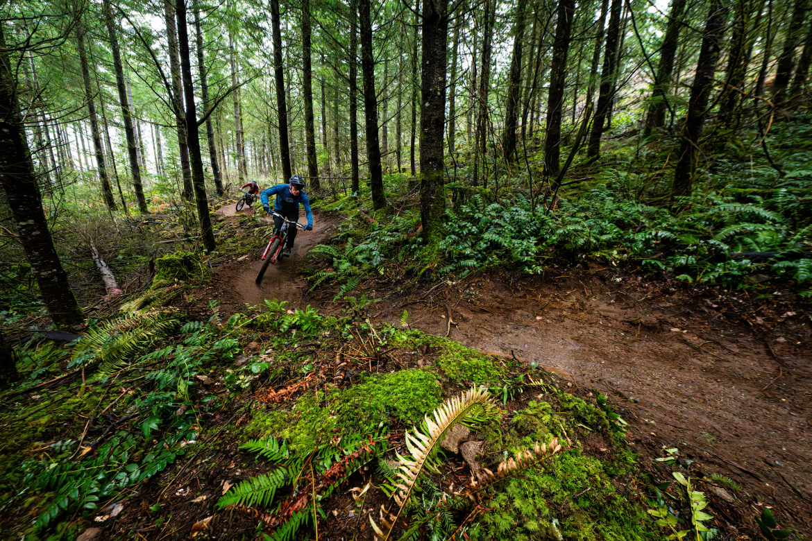 Galbraith Mountain adds 5 new trails and 2 major rebuilds in 2025, with 20 more miles planned