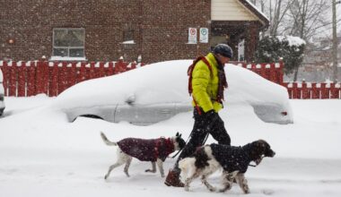Up to 15 cm of snow forecast, winter storm watch in effect for parts of GTA - CTV News
