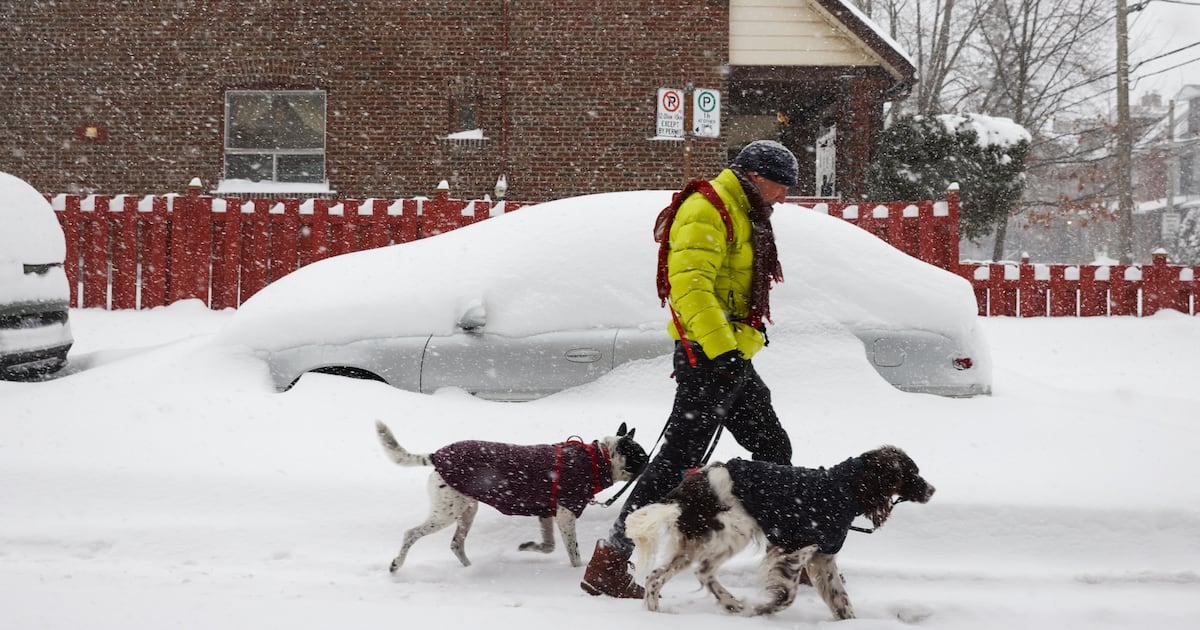Up to 15 cm of snow forecast, winter storm watch in effect for parts of GTA - CTV News