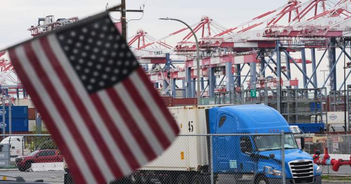 Trump’s global tariffs were struck down. Don’t expect price drops: experts - National