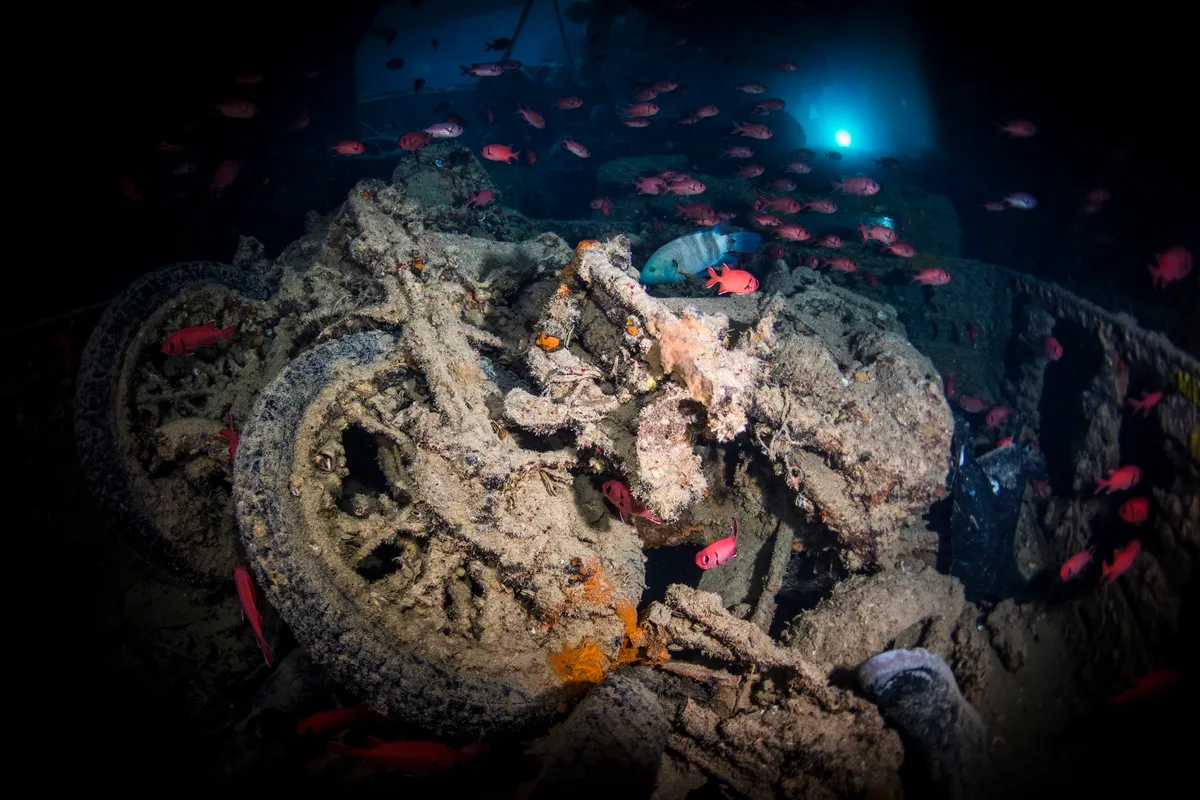 SS Thistlegorm in the Red Sea