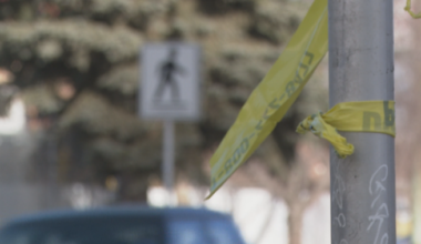 Toddler in stroller dies after being hit by Jeep in south Calgary: ‘Tragic loss of life’ - Calgary