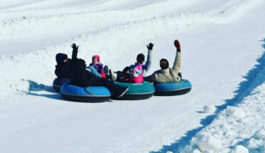 What's open and closed on Family Day?