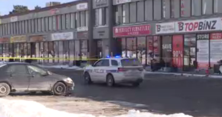 Man charged in ‘unprovoked’ Mississauga attacks that left 58-year-old woman dead