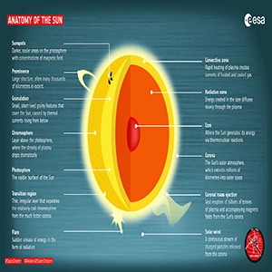 Anatomy of the Sun. Credit: ESA