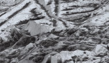 Survival Limits Of Psychrotolerant Microorganisms With Relevance For Planetary Protection Of The Icy Moons