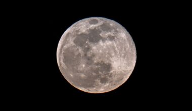 The Essential Guide to February 2026's Astronomical Highlights