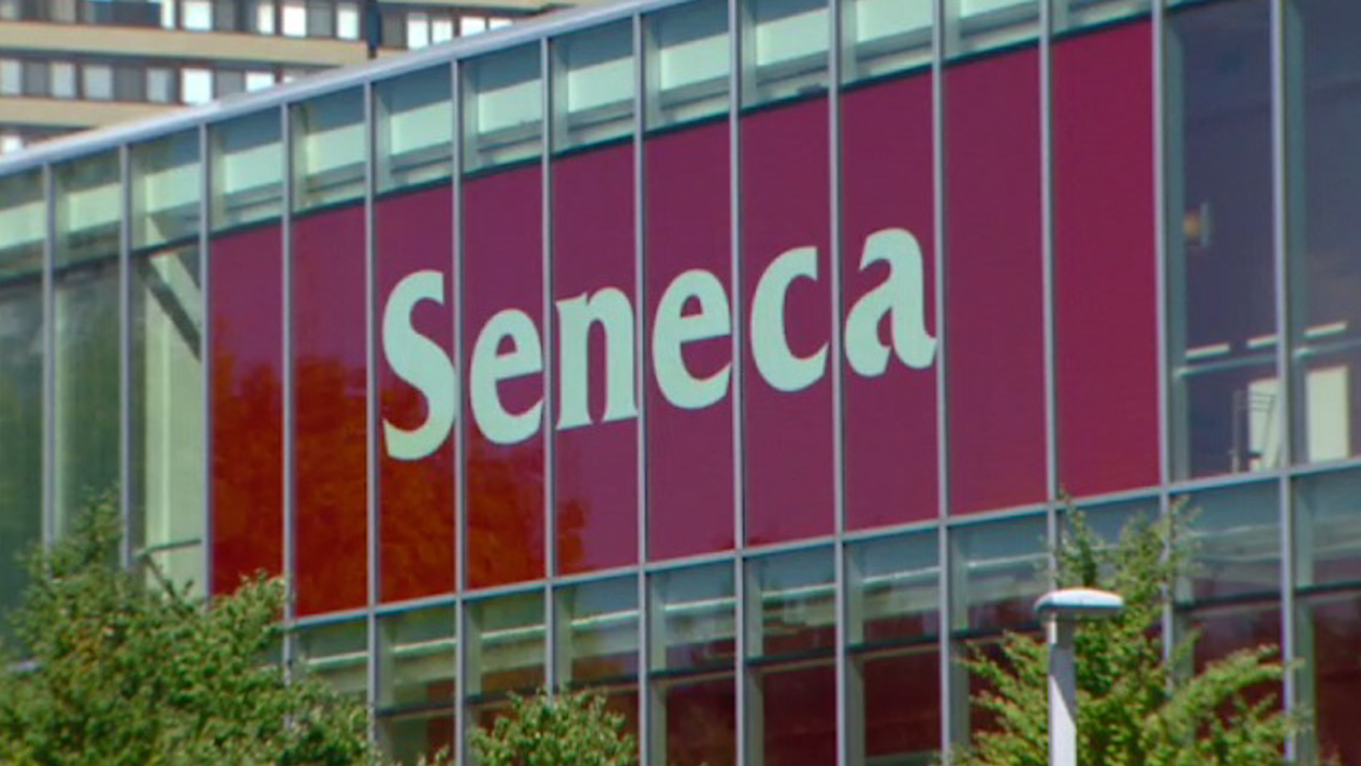 Click to play video: 'Ontario college executive pay increases as layoffs and campus closures hit'