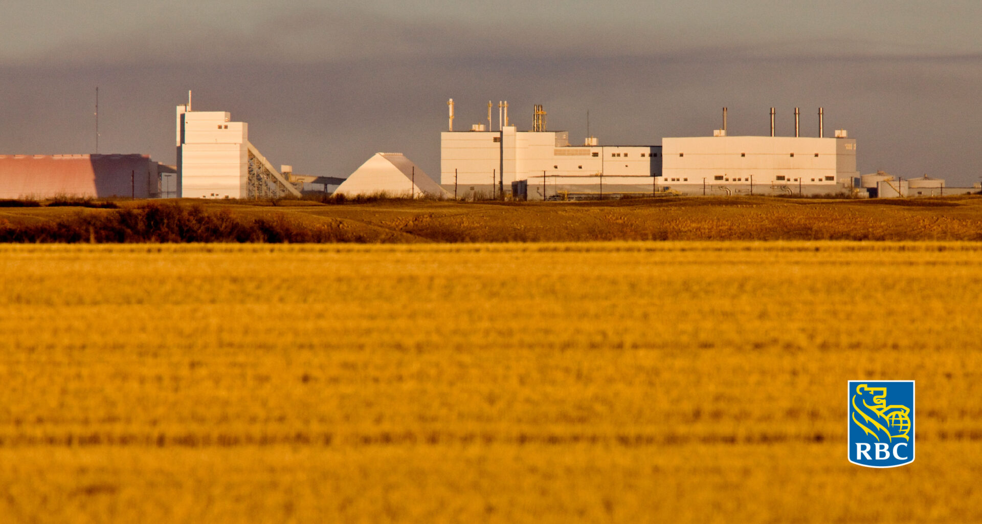 Potash, peas and power sources -