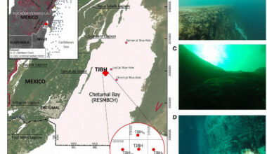 Scientists find a 'blue hole' so deep they can't reach the bottom
