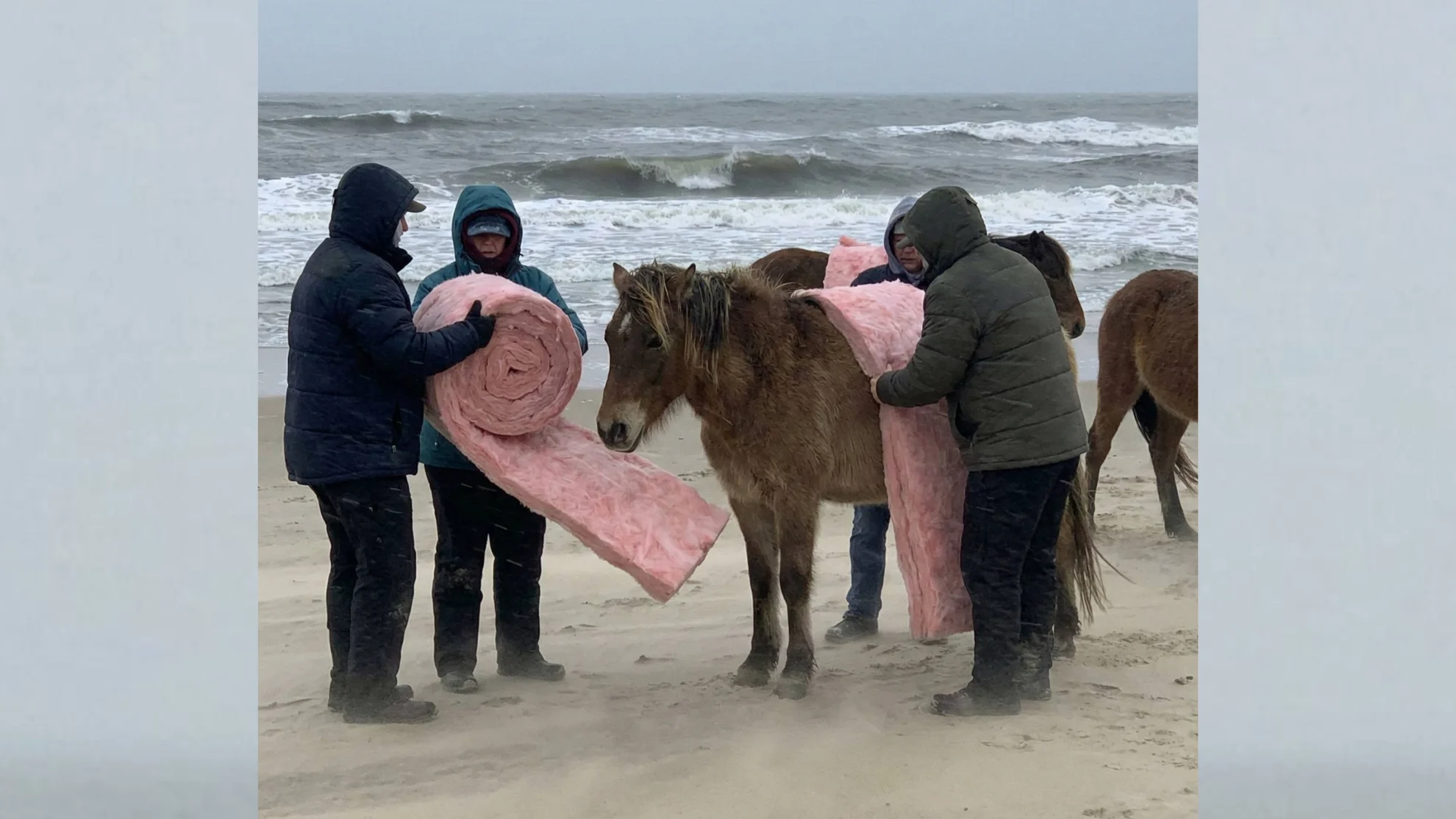 UPDATED dimensions - cheryl thumbnails - 2026-02-09T125158.899.png