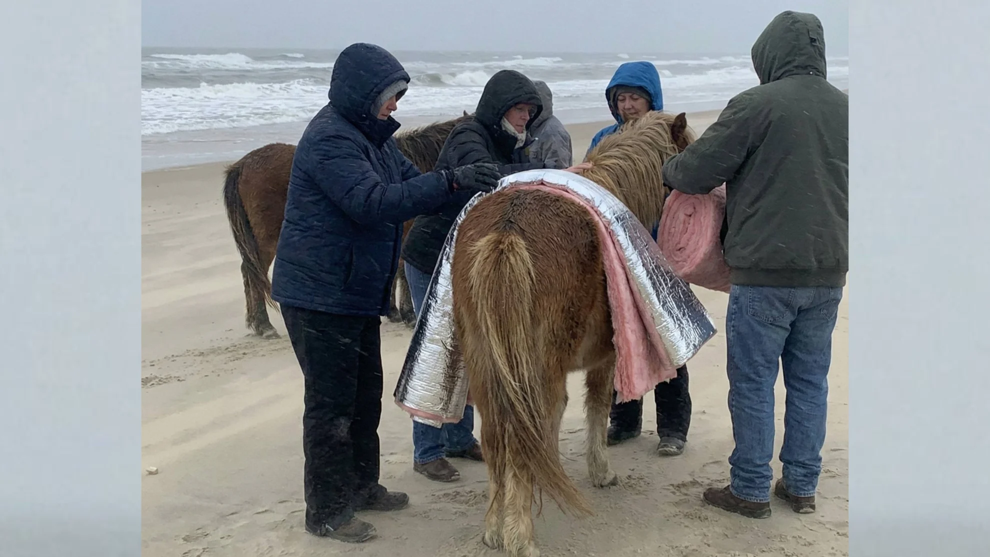 UPDATED dimensions - cheryl thumbnails - 2026-02-09T142430.912.png