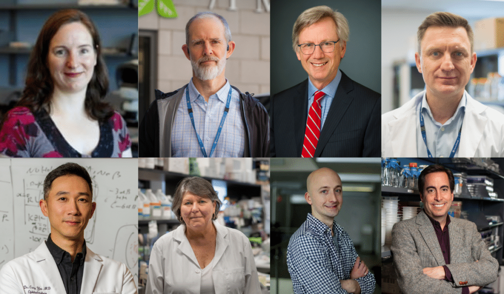 A collage of 8 headshots featuring the Sunnybrook nominated principal investigators