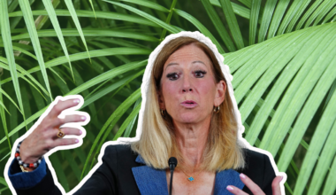 WNBA playing a most dangerous game