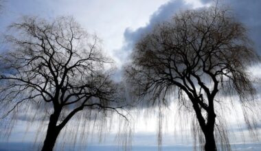 Snow creates slippery roads for morning rush hour