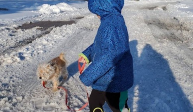 No lion, no lamb, March to deliver weather whiplash