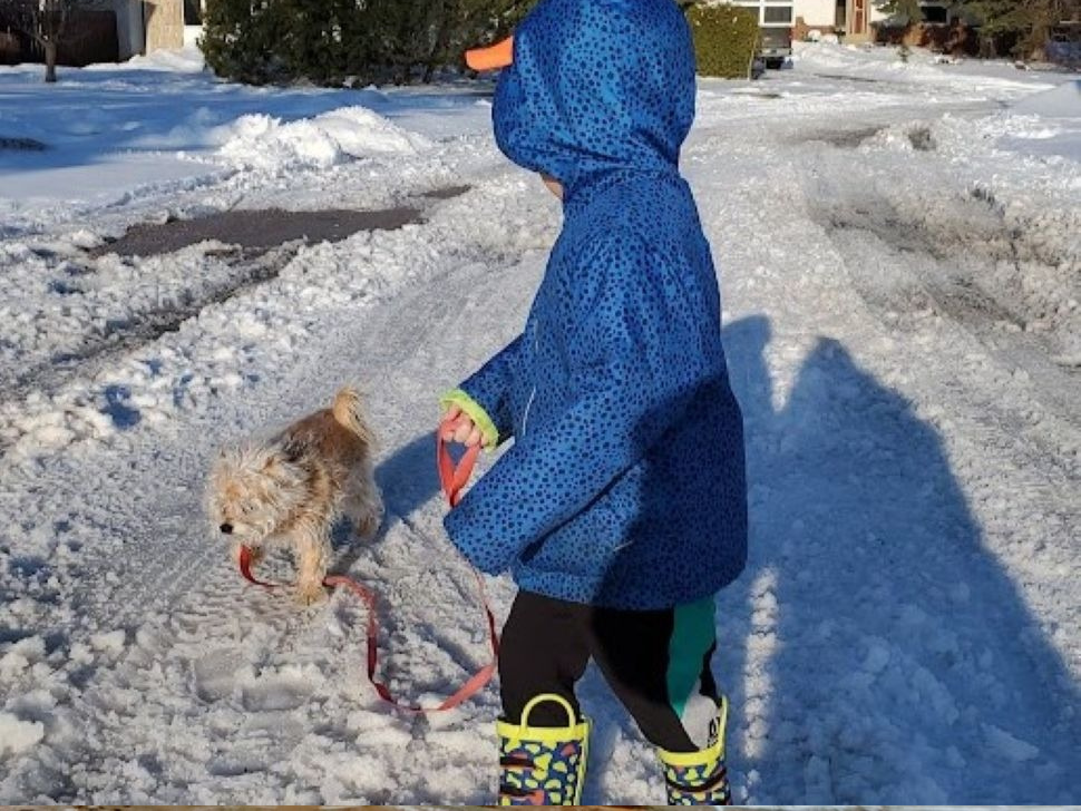 No lion, no lamb, March to deliver weather whiplash