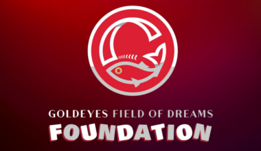 Winnipeg Goldeyes Field of Dreams Foundation gives nearly $100K to 48 Manitoba children’s charities