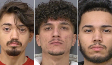 Peel police make arrests in GTA human trafficking investigation