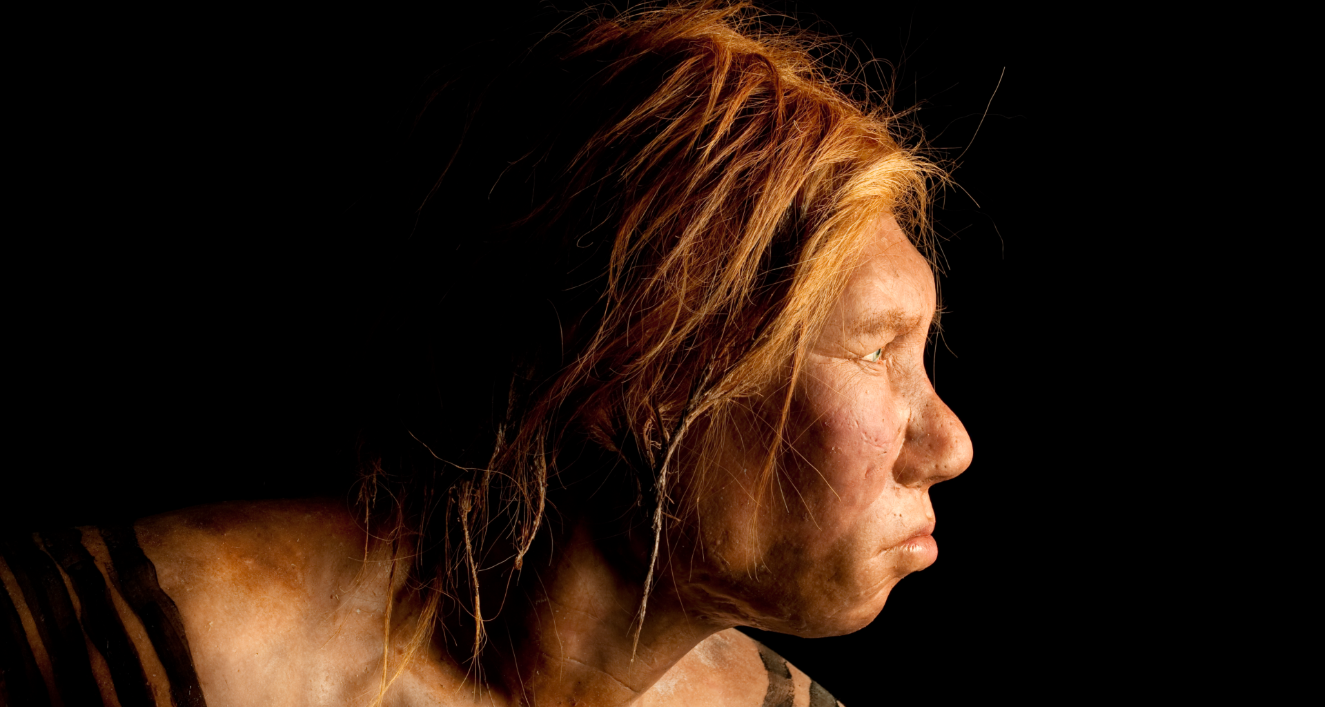 reconstruction of a female Neanderthal looking off to the right